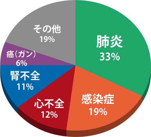 要 介護高齢者の直接的死亡原因の円グラフ